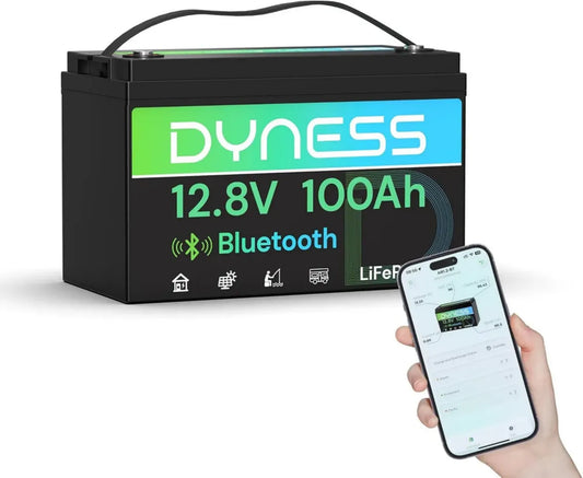 Batteria al Litio LiFePO4 12V 100Ah con Bluetooth, BMS Integrato, per Nautica e Camper