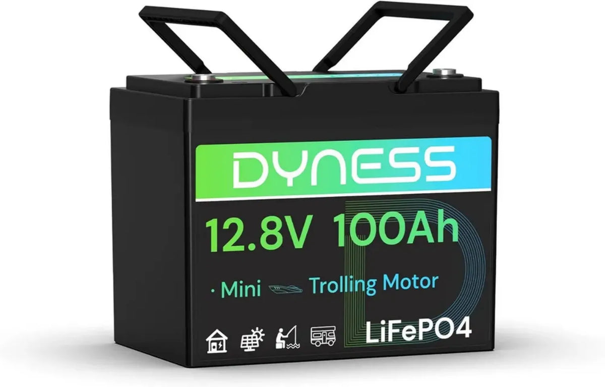 Batteria LiFePO4 12V 100Ah con BMS, Cicli Lunghi per Camper e Solare